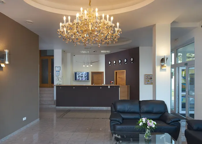 Aura Design & Garden Pool Prag